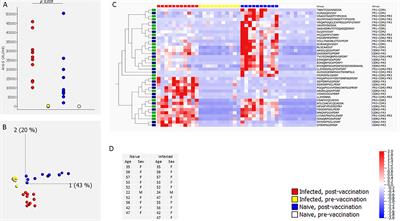 Complementarity determining regions in SARS-CoV-2 hybrid immunity